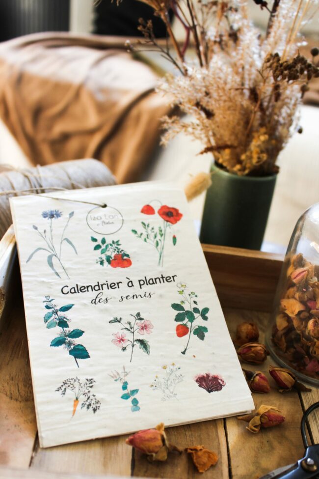 calendrier à planter des semis