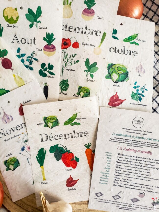 calendrier à planter perpétuel semis légumes et fleurs – Image 3