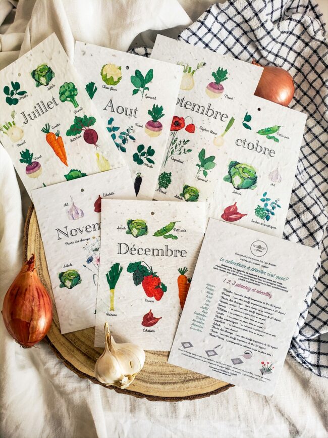 calendrier à planter perpétuel semis légumes et fleurs – Image 4