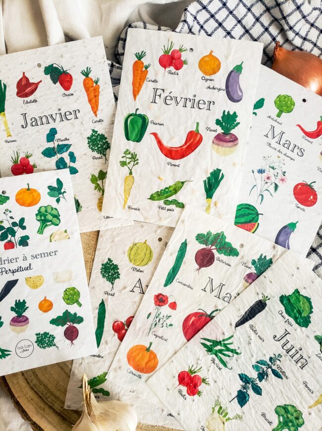 calendrier à planter perpétuel semis légumes et fleurs – Image 5