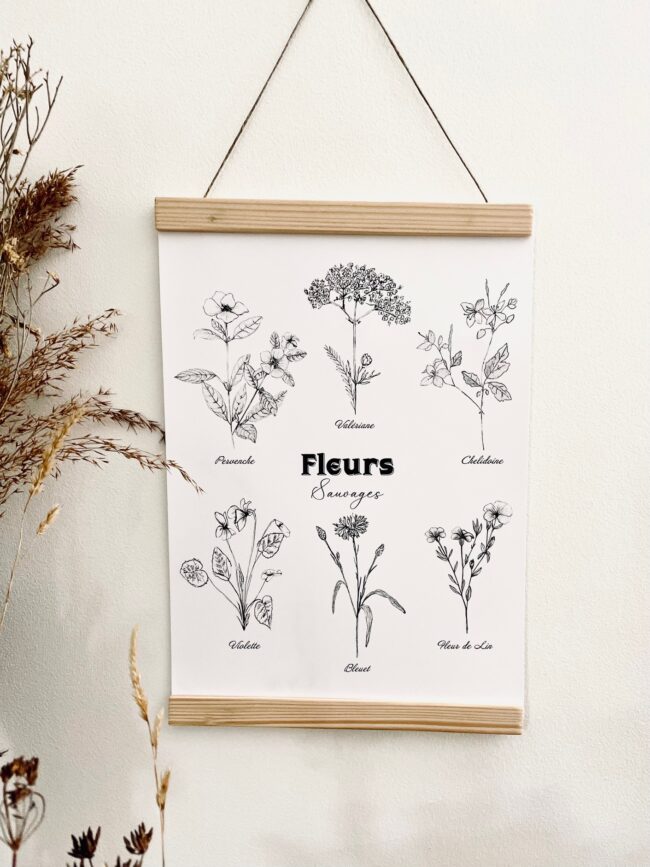 Affiche Botanique - Dessin Crayon Fleurs Sauvages