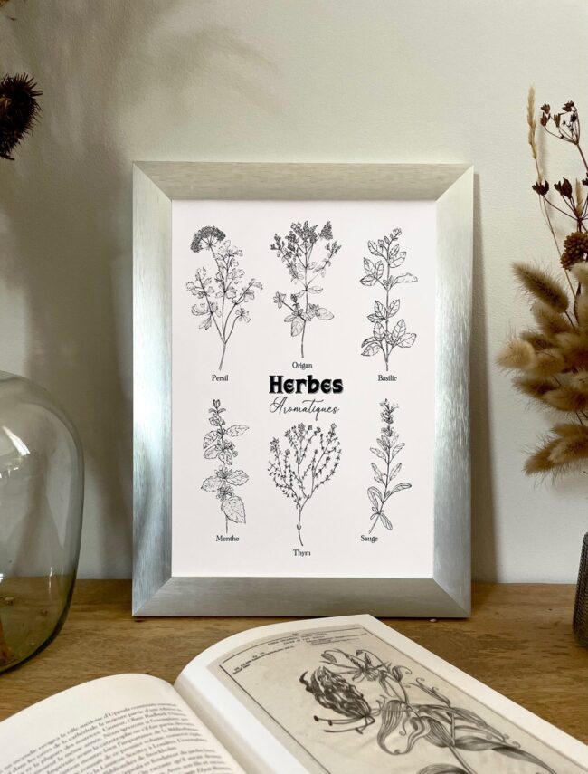 Affiche Botanique - Dessin Crayon d'Herbes Aromatiques – Image 3